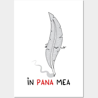 in pana mea Posters and Art